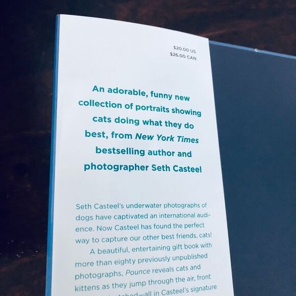 Pounce Cats & Kittens Funny Cute Photo Book - Picture 3 of 6